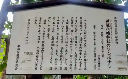 戸越八幡神社(東京都)