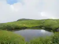 真名井神社の自然