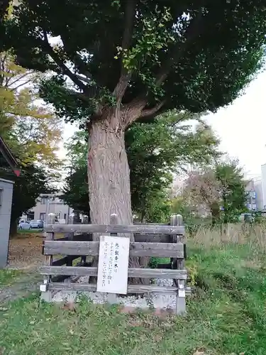 難得龍神社の自然