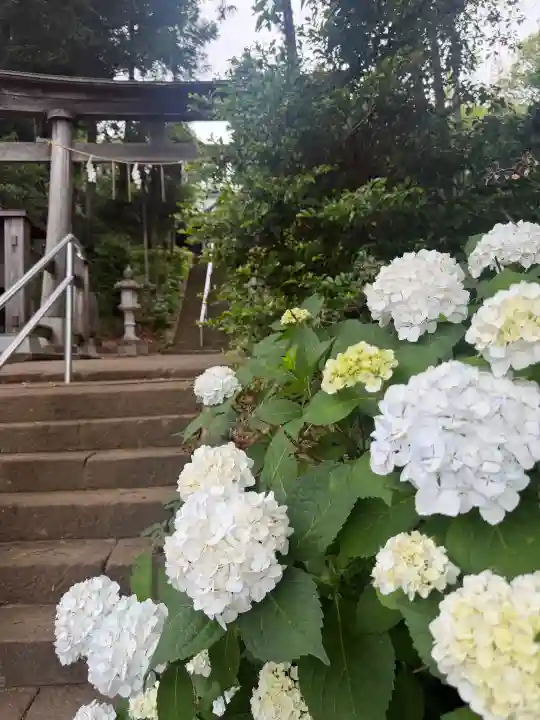 西八朔杉山神社(神奈川県)