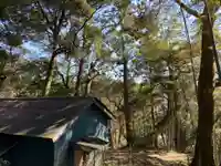 八坂神社の自然