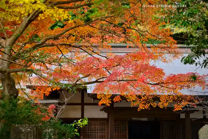 円覚寺(神奈川県)