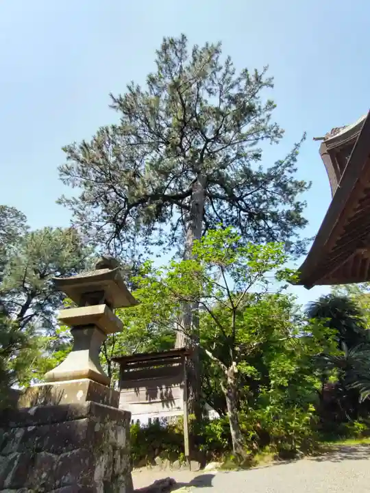 御穂神社の自然
