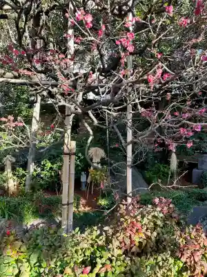 とげぬき地蔵尊 高岩寺の{uncategorized: "未分類", other: "その他", undefined: "問題あり", building: "その他建物", grave: "お墓", sacred_gate: "鳥居", guardian: "狛犬", statue: "像", buddha: "仏像", history: "歴史", nature: "自然", garden: "庭園", animal: "動物", pagoda: "塔", temizu: "手水舎", mountain_gate: "山門・神門", sanctuary: "本殿・本堂", subordinate: "末社・摂社", art: "芸術", scenery: "景色", jizo: "地蔵", ema: "絵馬", goshuin: "御朱印", omikuji: "おみくじ", items: "授与品その他", amulet: "お守り", goshuincho: "御朱印帳", eats: "食事", festival: "お祭り", votive_dance: "神楽", shichigosan: "七五三参", wedding: "結婚式", experience: "体験その他", initially: "初詣", around: "周辺", anti_infection: "感染症対策"}