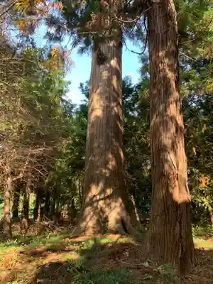 熊野大神(千葉県)
