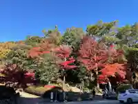 定光寺(愛知県)