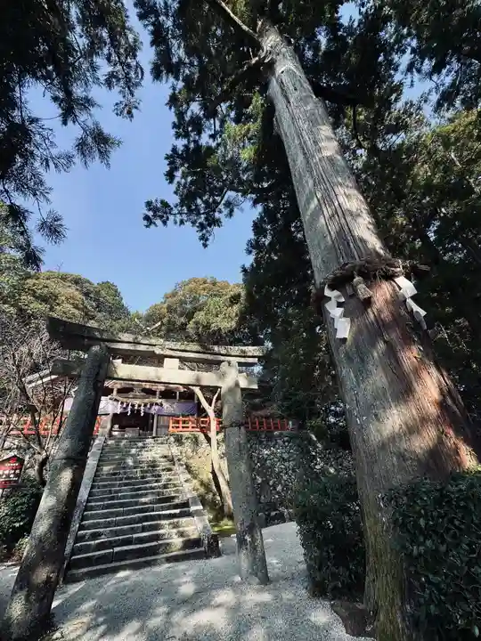 高鴨神社の御朱印