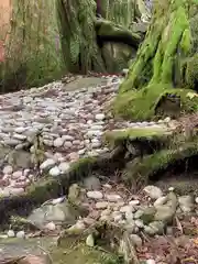 玉置神社(奈良県)