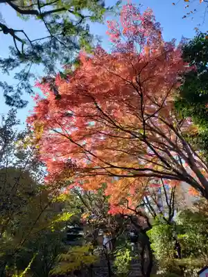 乃木神社(東京都)