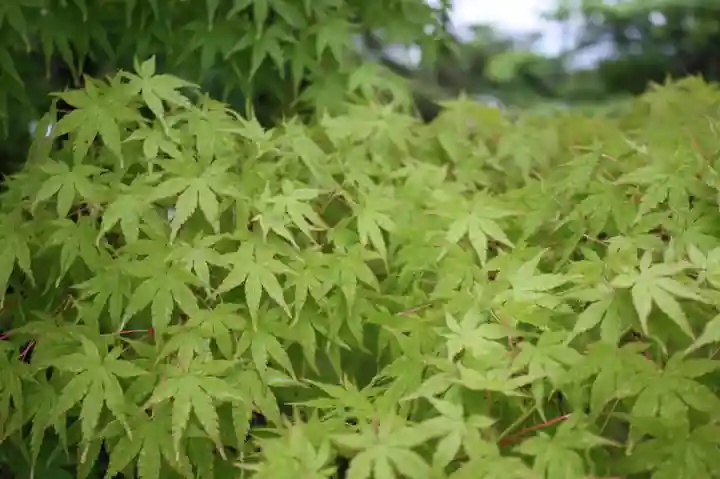 智積院(京都府)