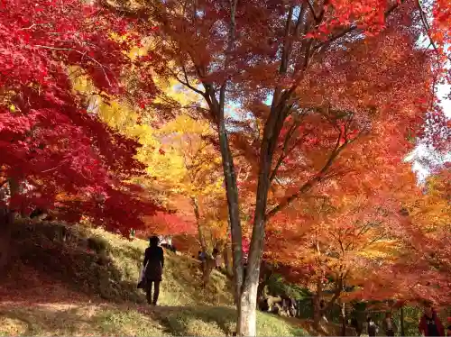 八幡神社(兵庫県)