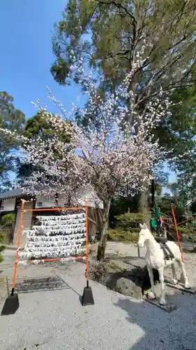 嘯吹八幡神社のおみくじ