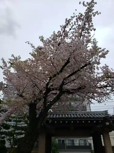 報恩寺(東京都)