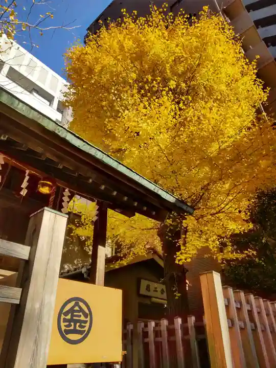 金刀比羅神社の自然