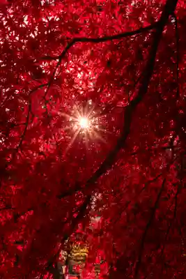 大原野神社(京都府)