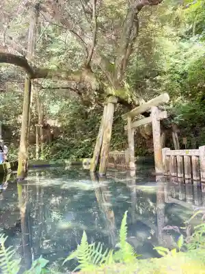 鹿島神宮(茨城県)