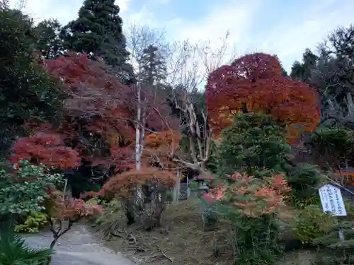 法雲寺(埼玉県)
