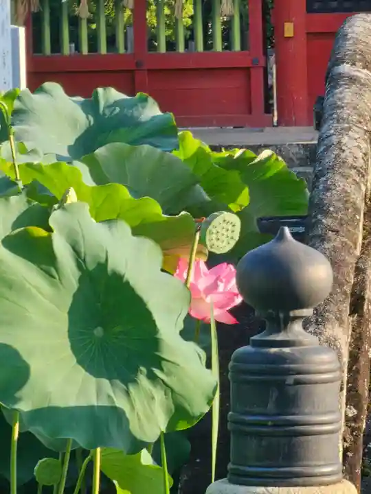 伊賀八幡宮(愛知県)