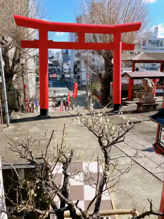 徳島眉山天神社(徳島県)