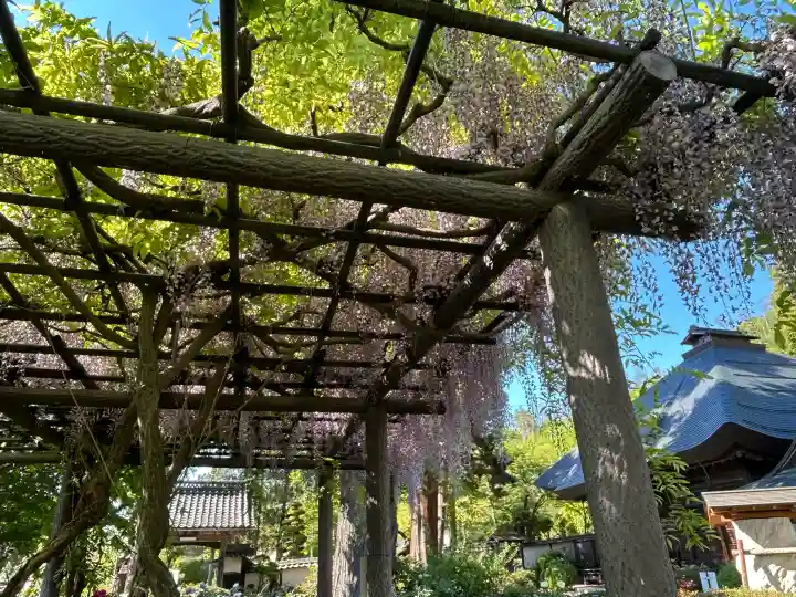 玄向寺の{uncategorized: "未分類", other: "その他", undefined: "問題あり", building: "その他建物", grave: "お墓", sacred_gate: "鳥居", guardian: "狛犬", statue: "像", buddha: "仏像", history: "歴史", nature: "自然", garden: "庭園", animal: "動物", pagoda: "塔", temizu: "手水舎", mountain_gate: "山門・神門", sanctuary: "本殿・本堂", subordinate: "末社・摂社", art: "芸術", scenery: "景色", jizo: "地蔵", ema: "絵馬", goshuin: "御朱印", omikuji: "おみくじ", items: "授与品その他", amulet: "お守り", goshuincho: "御朱印帳", eats: "食事", festival: "お祭り", votive_dance: "神楽", shichigosan: "七五三参", wedding: "結婚式", experience: "体験その他", initially: "初詣", around: "周辺", anti_infection: "感染症対策"}