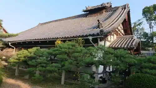 来迎寺の本殿