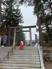 上川神社の鳥居