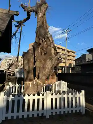 結城神明神社(千葉県)