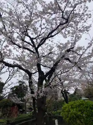 浅草寺(東京都)
