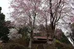 昌福寺の自然