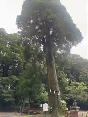狭野神社(宮崎県)