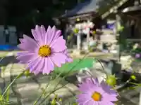 高祖神社の自然