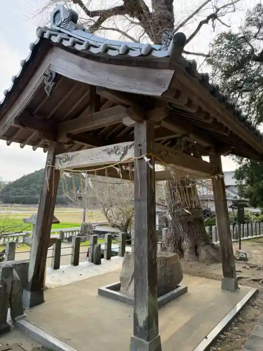 四所神社の{uncategorized: "未分類", other: "その他", undefined: "問題あり", building: "その他建物", grave: "お墓", sacred_gate: "鳥居", guardian: "狛犬", statue: "像", buddha: "仏像", history: "歴史", nature: "自然", garden: "庭園", animal: "動物", pagoda: "塔", temizu: "手水舎", mountain_gate: "山門・神門", sanctuary: "本殿・本堂", subordinate: "末社・摂社", art: "芸術", scenery: "景色", jizo: "地蔵", ema: "絵馬", goshuin: "御朱印", omikuji: "おみくじ", items: "授与品その他", amulet: "お守り", goshuincho: "御朱印帳", eats: "食事", festival: "お祭り", votive_dance: "神楽", shichigosan: "七五三参", wedding: "結婚式", experience: "体験その他", initially: "初詣", around: "周辺", anti_infection: "感染症対策"}
