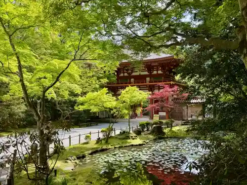室生寺の{uncategorized: "未分類", other: "その他", undefined: "問題あり", building: "その他建物", grave: "お墓", sacred_gate: "鳥居", guardian: "狛犬", statue: "像", buddha: "仏像", history: "歴史", nature: "自然", garden: "庭園", animal: "動物", pagoda: "塔", temizu: "手水舎", mountain_gate: "山門・神門", sanctuary: "本殿・本堂", subordinate: "末社・摂社", art: "芸術", scenery: "景色", jizo: "地蔵", ema: "絵馬", goshuin: "御朱印", omikuji: "おみくじ", items: "授与品その他", amulet: "お守り", goshuincho: "御朱印帳", eats: "食事", festival: "お祭り", votive_dance: "神楽", shichigosan: "七五三参", wedding: "結婚式", experience: "体験その他", initially: "初詣", around: "周辺", anti_infection: "感染症対策"}