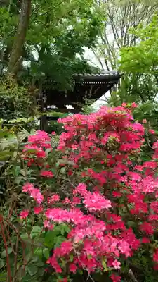 法明寺(東京都)