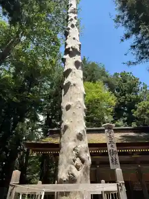 諏訪大社下社春宮(長野県)