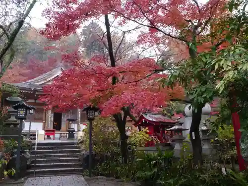 高幡不動尊　金剛寺の庭園