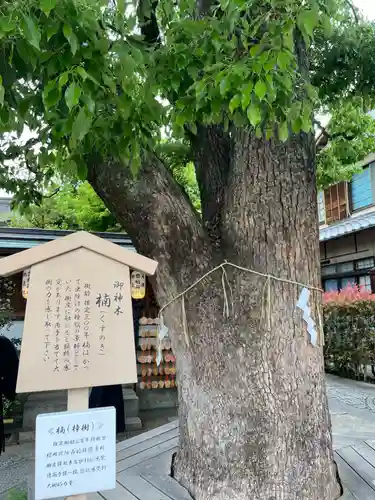 晴明神社(京都府)