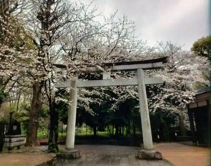 熊野神社(東京都)