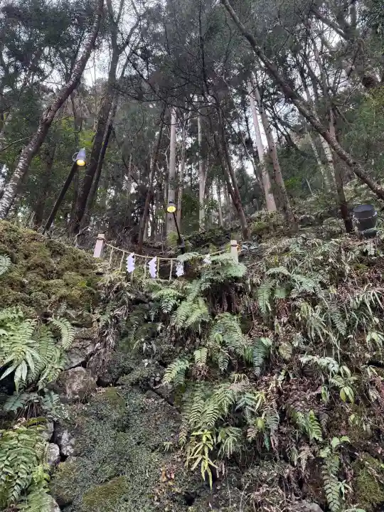 貴船神社の{uncategorized: "未分類", other: "その他", undefined: "問題あり", building: "その他建物", grave: "お墓", sacred_gate: "鳥居", guardian: "狛犬", statue: "像", buddha: "仏像", history: "歴史", nature: "自然", garden: "庭園", animal: "動物", pagoda: "塔", temizu: "手水舎", mountain_gate: "山門・神門", sanctuary: "本殿・本堂", subordinate: "末社・摂社", art: "芸術", scenery: "景色", jizo: "地蔵", ema: "絵馬", goshuin: "御朱印", omikuji: "おみくじ", items: "授与品その他", amulet: "お守り", goshuincho: "御朱印帳", eats: "食事", festival: "お祭り", votive_dance: "神楽", shichigosan: "七五三参", wedding: "結婚式", experience: "体験その他", initially: "初詣", around: "周辺", anti_infection: "感染症対策"}