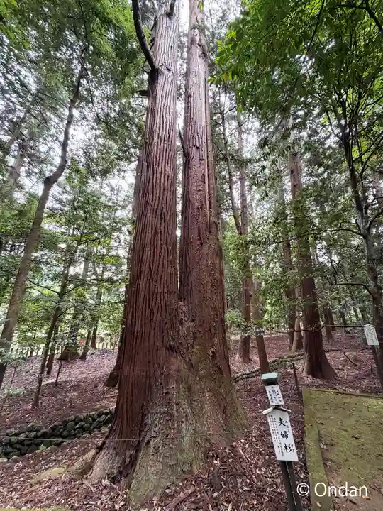 若狭彦神社(上社)(福井県)