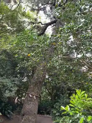 第六天神社(神奈川県)