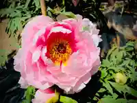 滑川神社 - 仕事と子どもの守り神の周辺