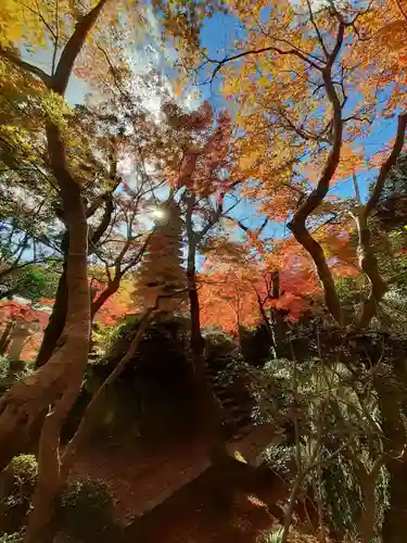 朝護孫子寺(奈良県)