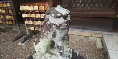 梅宮大社(京都府)