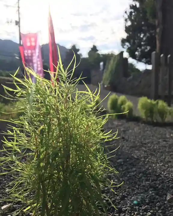 高司神社〜むすびの神の鎮まる社〜(福島県)