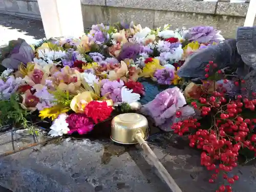 杉杜白髭神社(福井県)