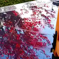 寿量山 速成寺の自然