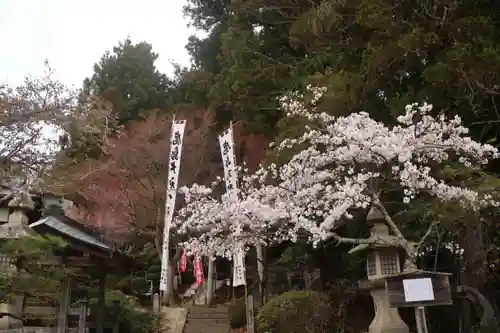 鹿島大神宮のお祭り
