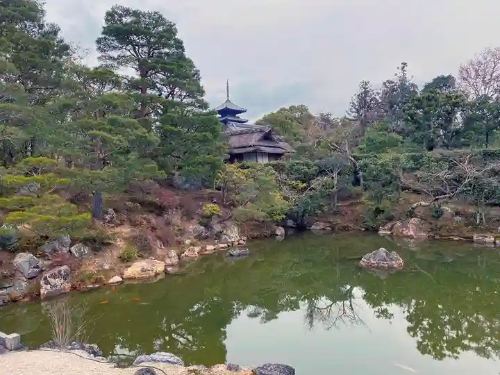 仁和寺の庭園