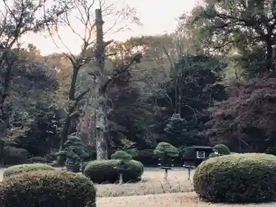 明治神宮(東京都)